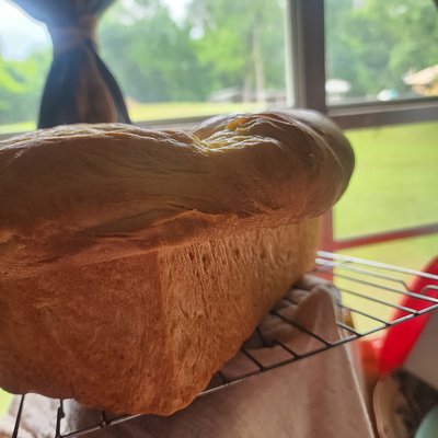 White Loaf Bread 