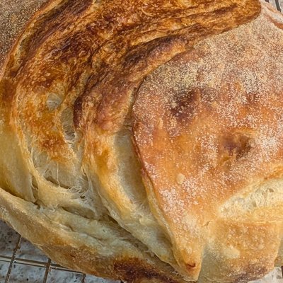 Croissant Sourdough