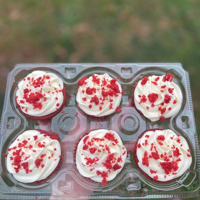Classic Cupcakes 🧁 