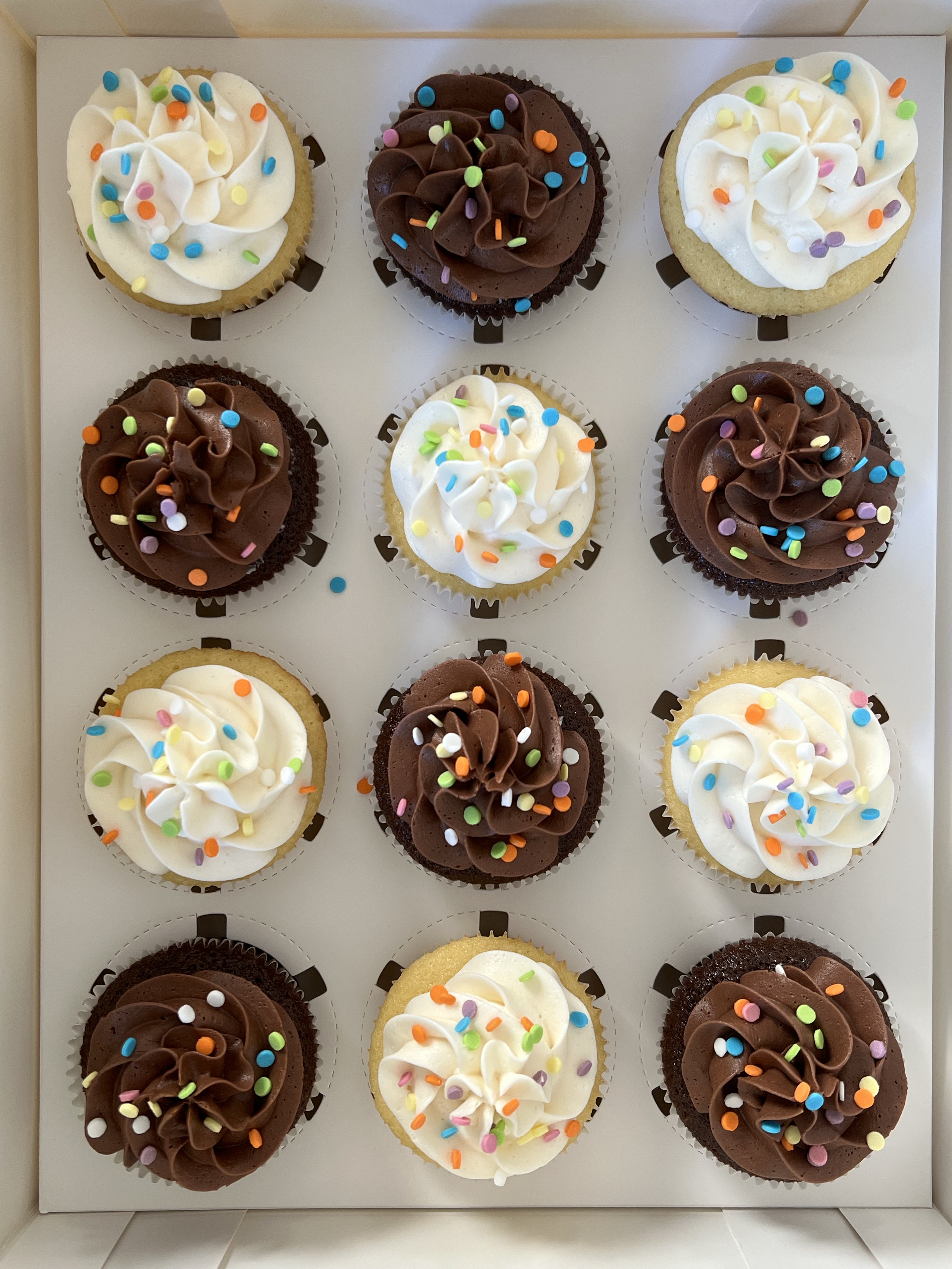 Chocolate Cupcakes