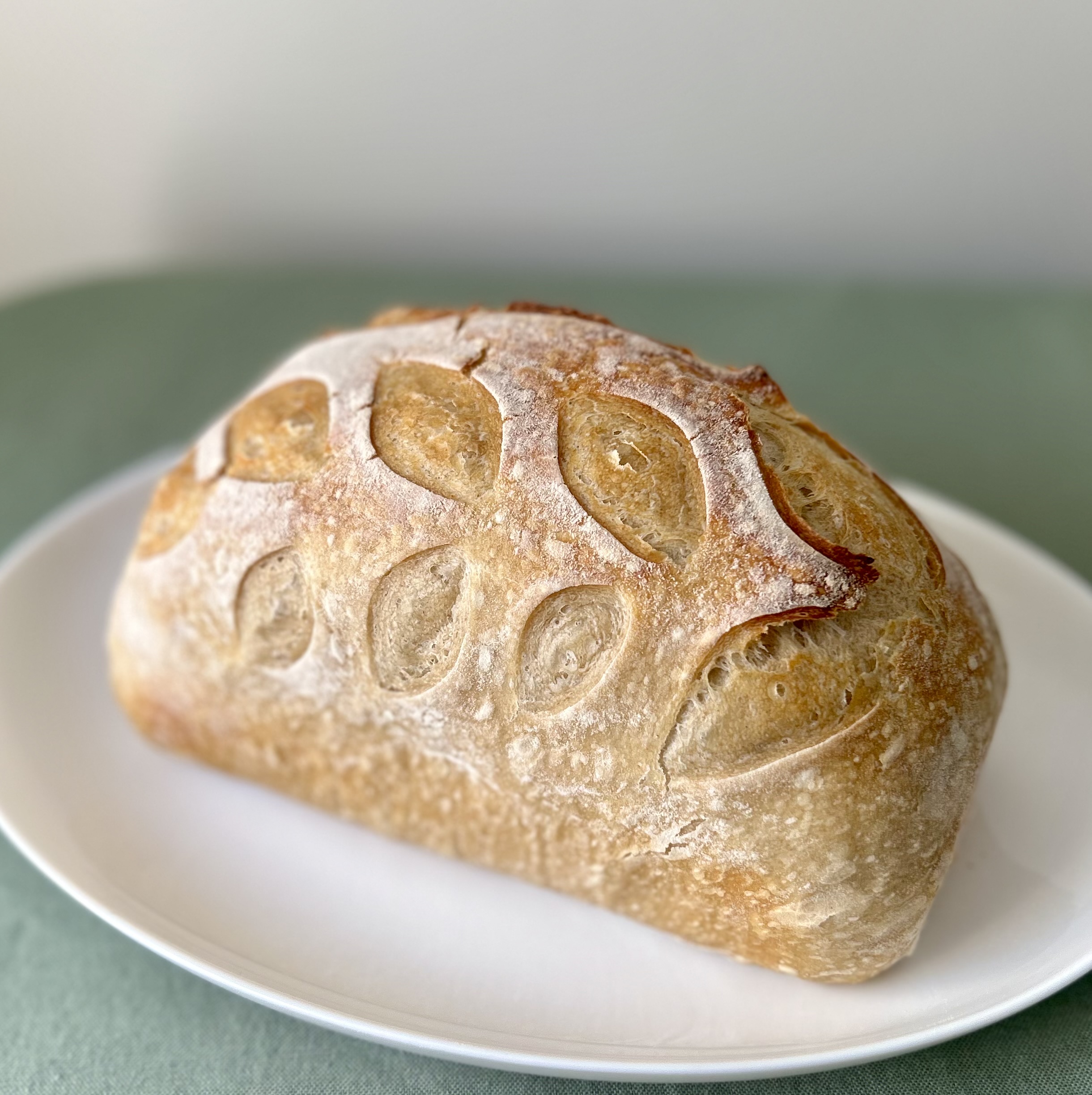 Sourdough Loaf