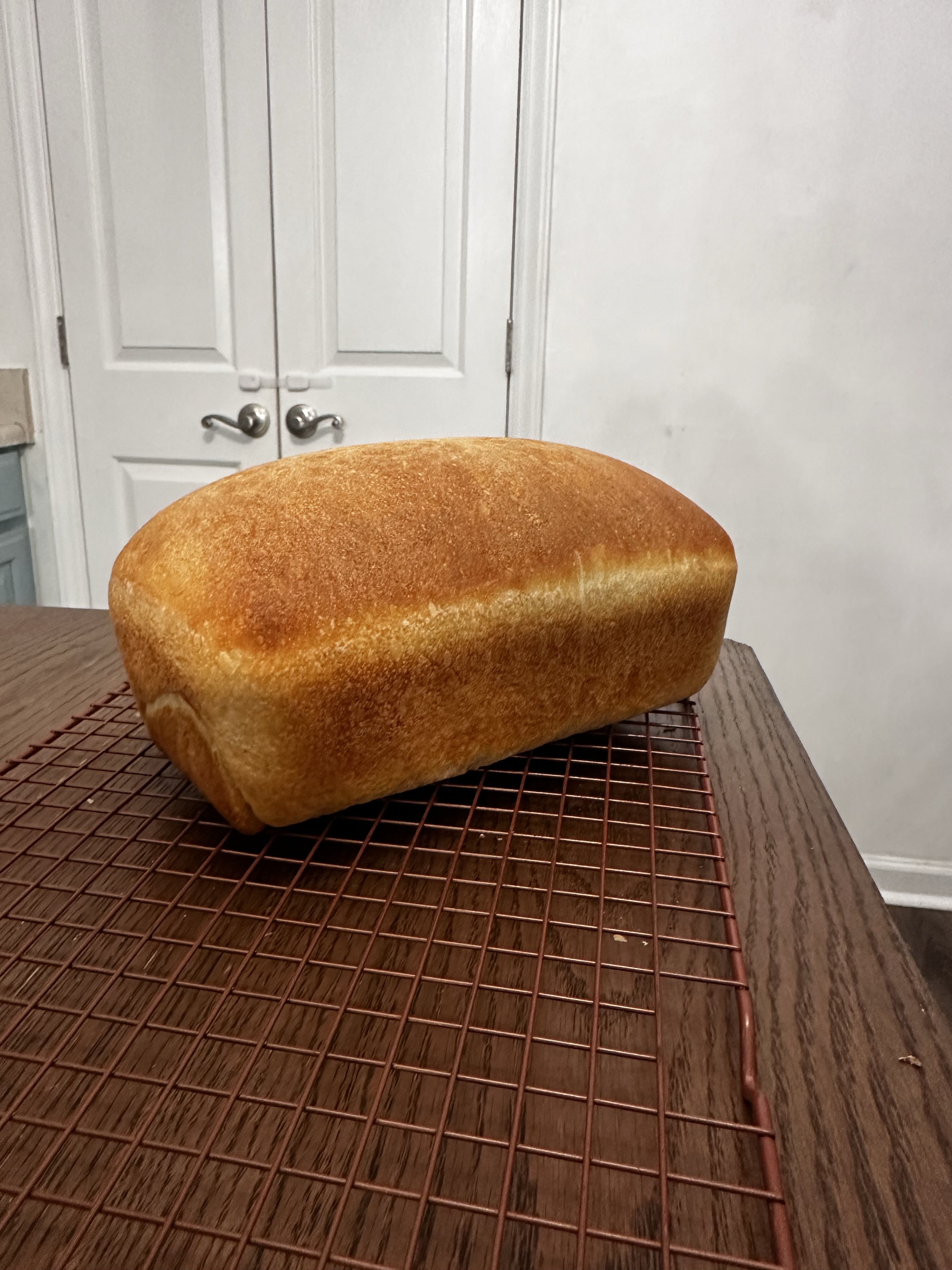 Sourdough Sandwich Loaf (Plain) 