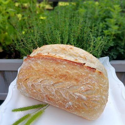 Sourdough Classic 