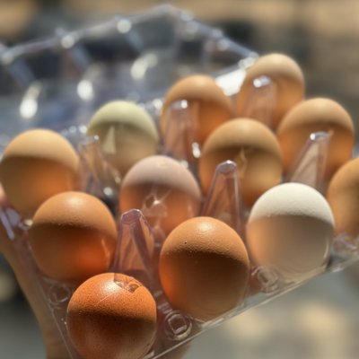 Farm Fresh Eggs