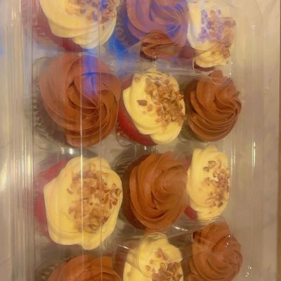 12ct Cupcake 