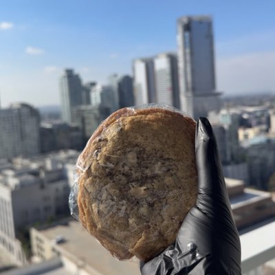 Regular Choc. Chip Cookie 