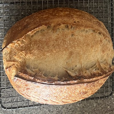 Olive Oil Rosemary- Whole Loaf