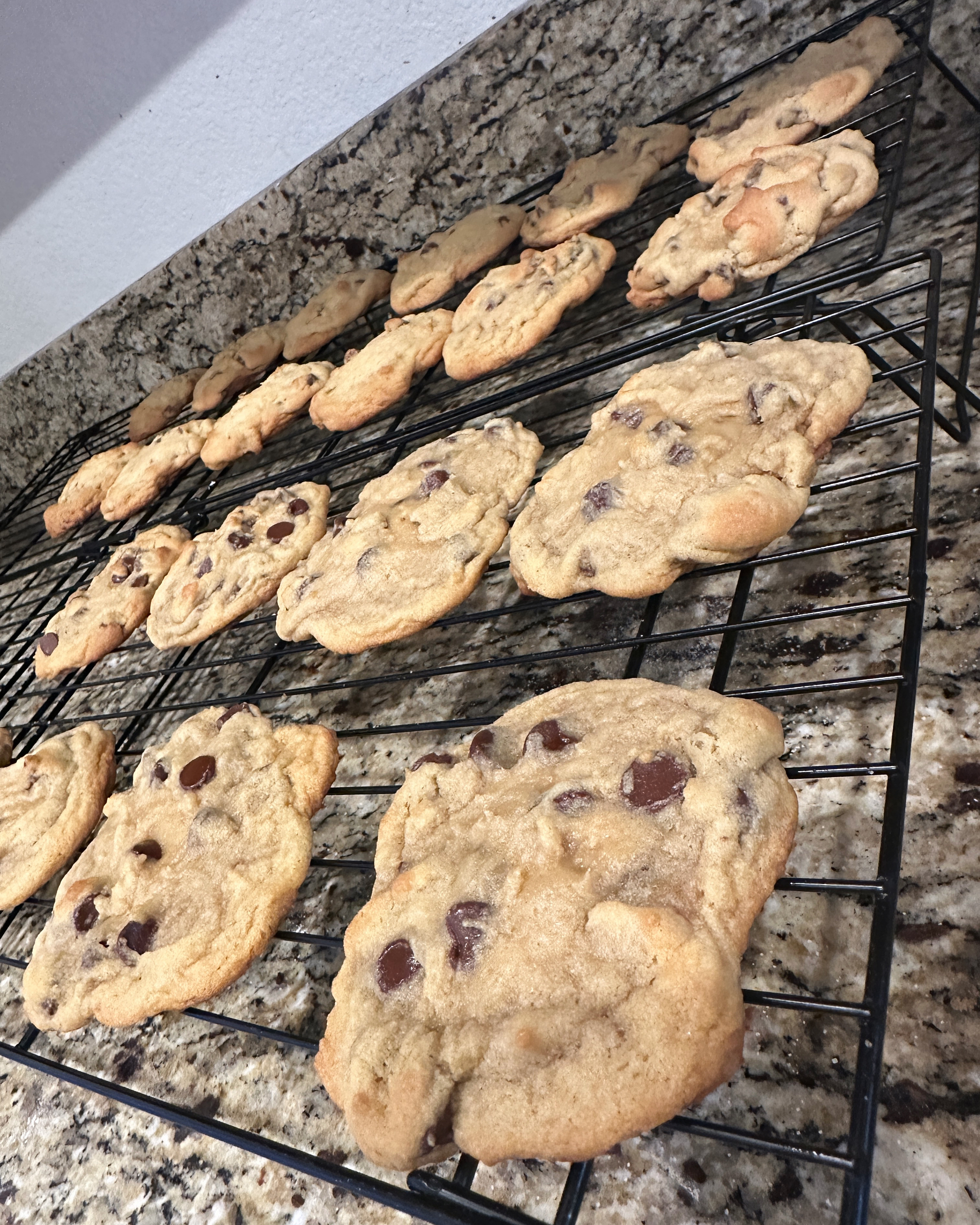 Chocolate Chip