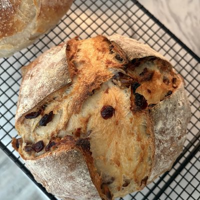 Sourdough Cranberry + Walnut Loaf 