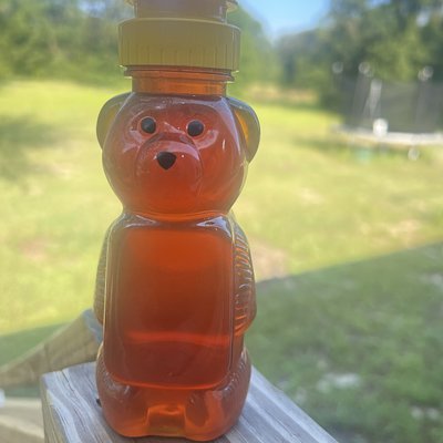 Local Honey (12oz)