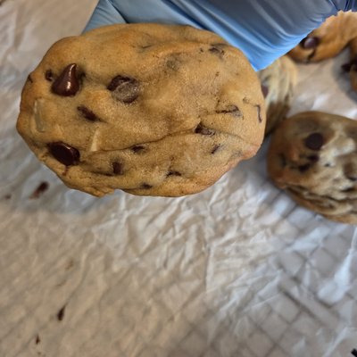 Chocolate Chip Macadamia 