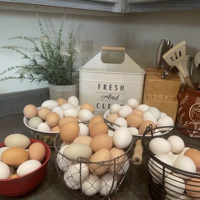 Chicken Eggs
