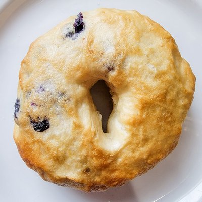 6 Jumbo "New York Style" Blueberry Bagels