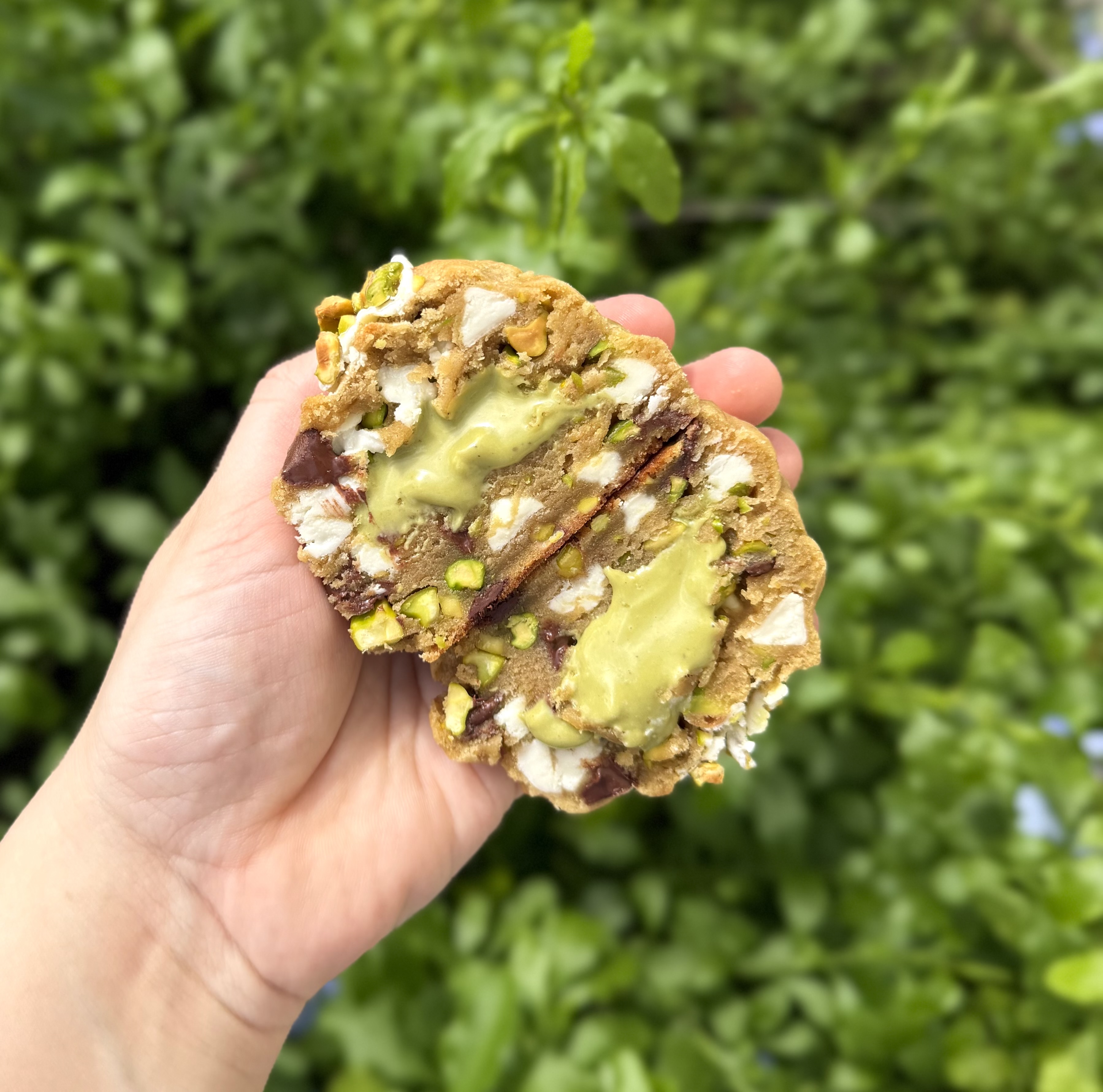 Pistachio Dream  