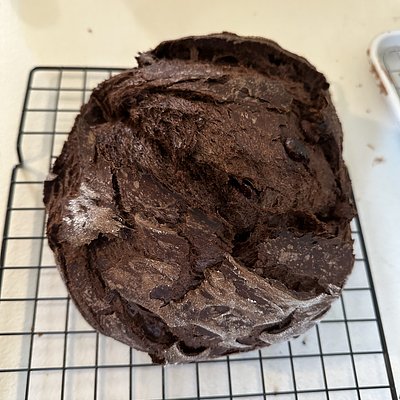 Double Chocolate Chip Sourdough