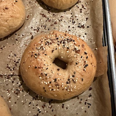 Everything Bagel
