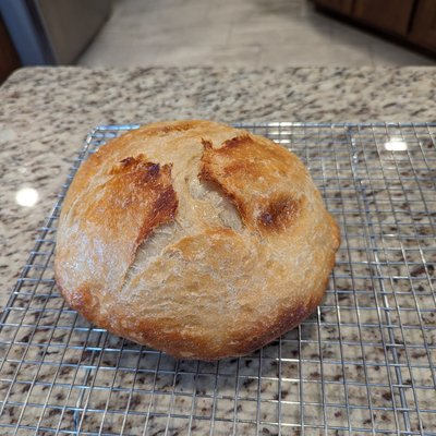 Plain Sourdough Round