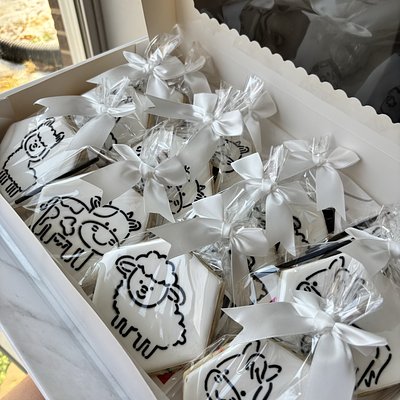 Paint Your Own Party Pack