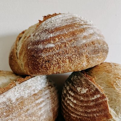 Classic White Sourdough Loaf