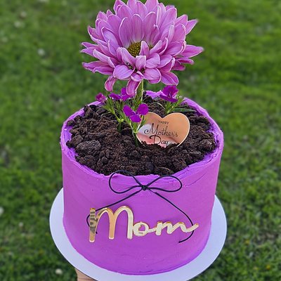 Petite Layered Round Cake 
