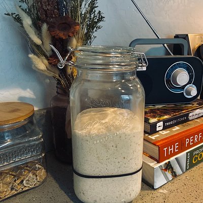 Fresh Live ACTIVE Sourdough Starter  (200+ yr. Old San Francisco)