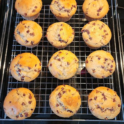 Chocolate Chip Muffins