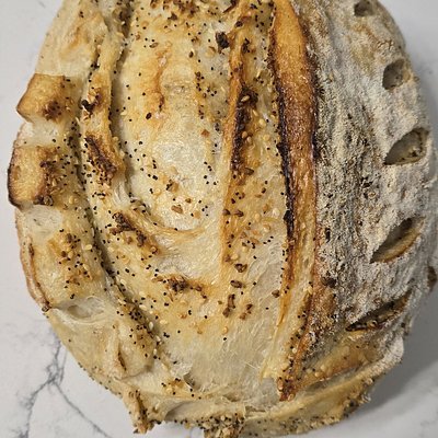 Everything Bagel