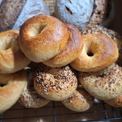 Organic Sourdough Bagels 1/2 Dozen 