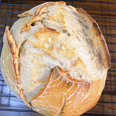 Plain Sourdough Bread 