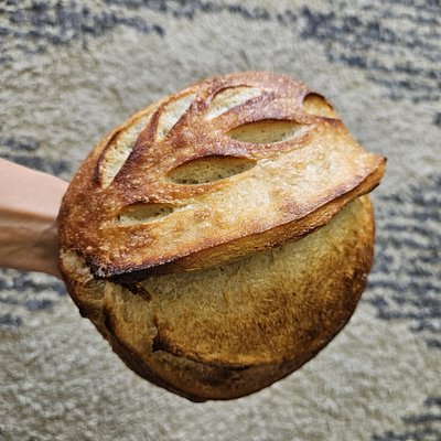 Organic White Artisan Loaf
