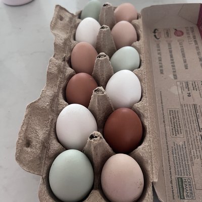 Fresh Eggs (dozen)