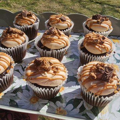 1 Dozen Standard Cupcakes