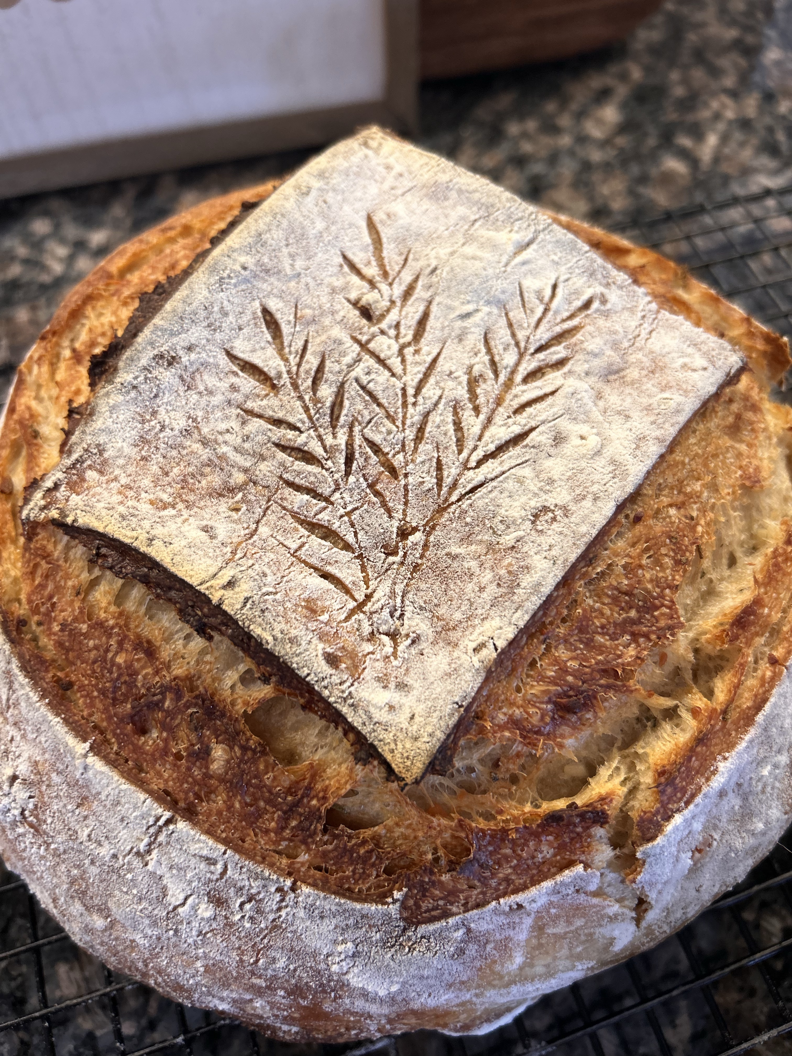 Jalapeño Cheddar Sourdough 