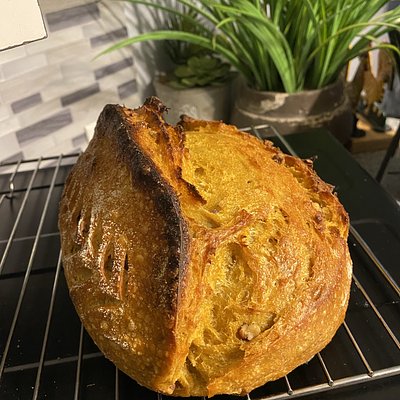 Pumpkin Spice Sourdough with Pecans