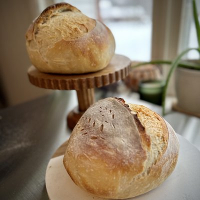 Sourdough Bread