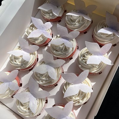 Dozen Cupcakes