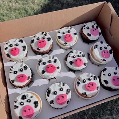 1 doz. Cupcakes 