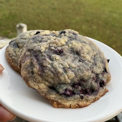 Lemon Blueberry Cookies