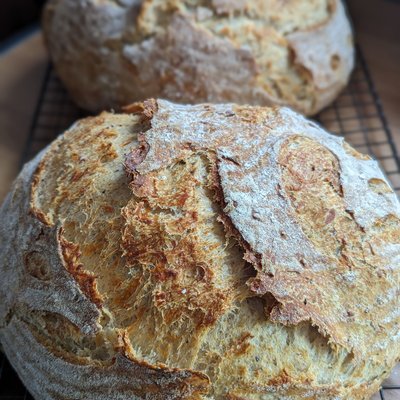 Parmesan And Black Pepper Bread