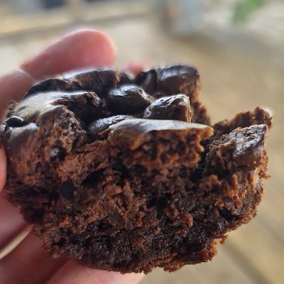 Sourdough Brownies
