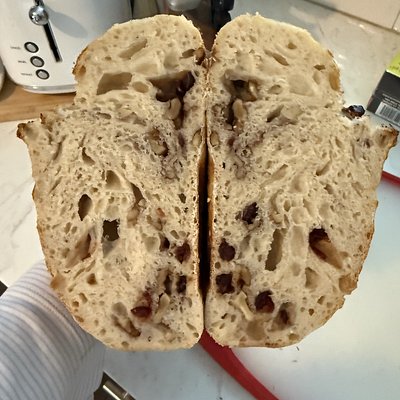 Cranberry Walnut Sourdough Bread