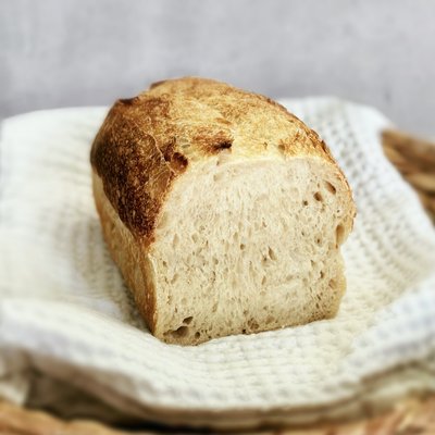 Plain Artisanal Sourdough