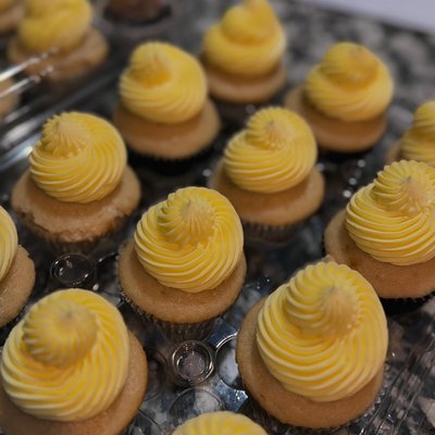 6 Counts Regular Kupcakes 