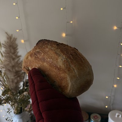 Sourdough Sandwich Bread!