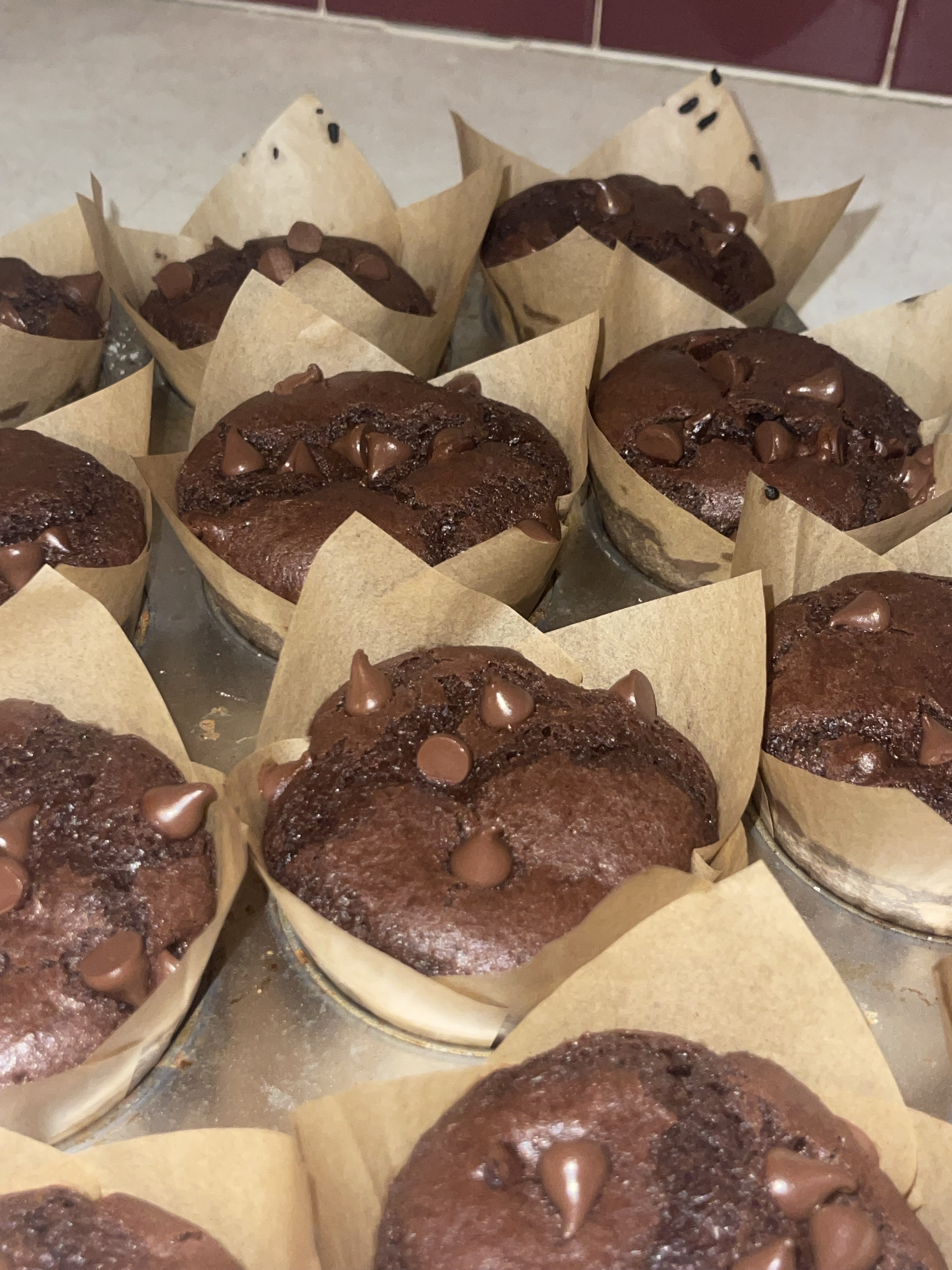 Sourdough Double Chocolate Muffins 