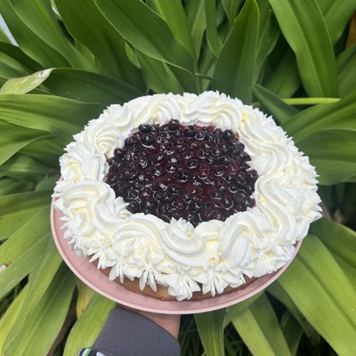 Blueberry 🫐 Cheesecake- Large 9”