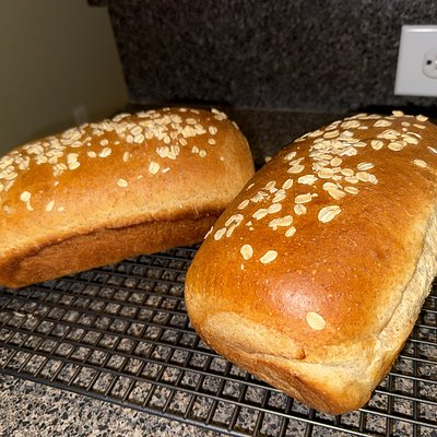 Oatmeal Wheat Sandwich Bread