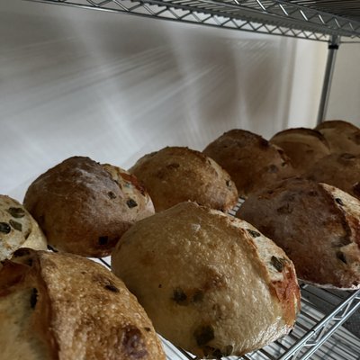 Chive and Cheddar Sourdough Boule 