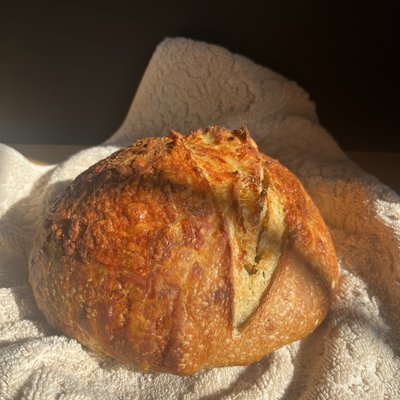 Old Bay Cheddar Loaf