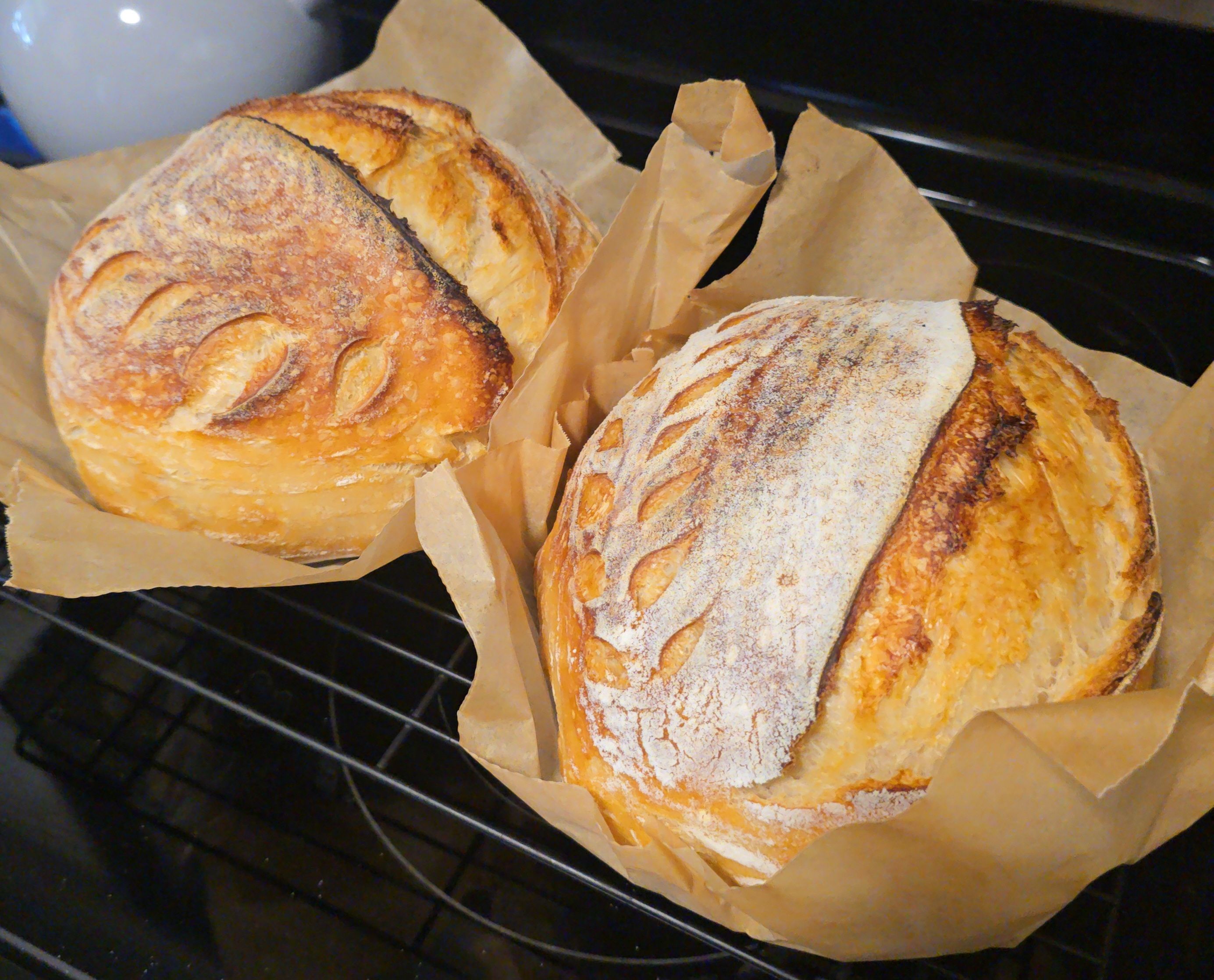 Plain Sourdough